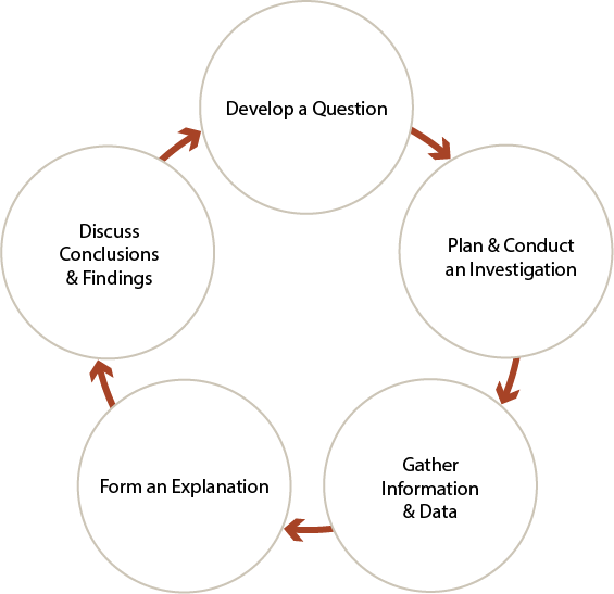 制定问题，计划和进行调查，收集信息和数据，形成解释，讨论结论和调查结果